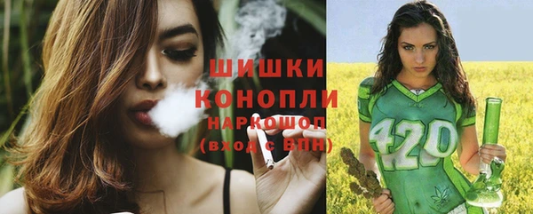 стафф Няндома