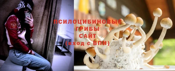 mdpv Осинники
