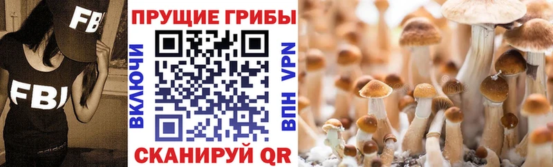 Псилоцибиновые грибы прущие грибы  Купить где  Миасс 